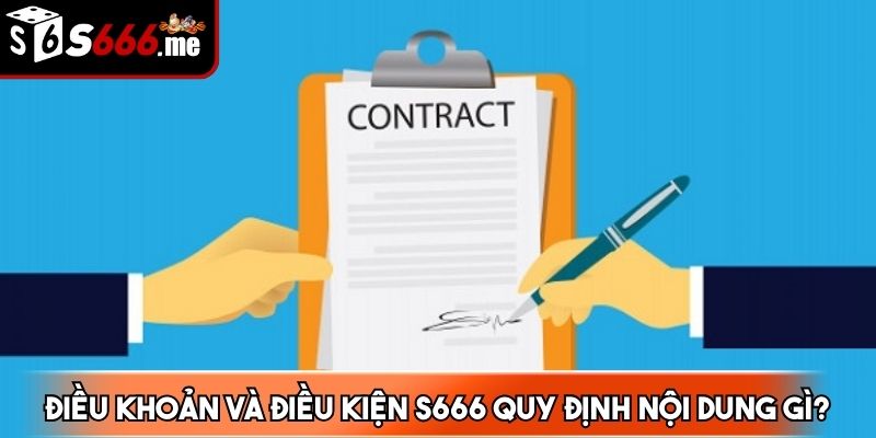 Nội dung quy định về điều khoản và điều kiện tại S666