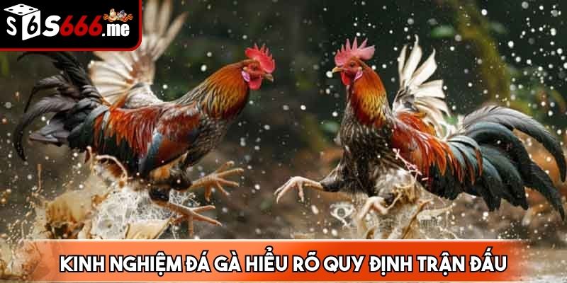 Lắng nghe nhận định từ chuyên gia là lưu ý vàng cho bạn